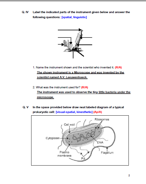 Animal cell coloring worksheet image