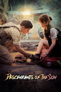 Descendants of the Sun S01 Hindi Dubbed Complete 480p 720p 1080p HDRip