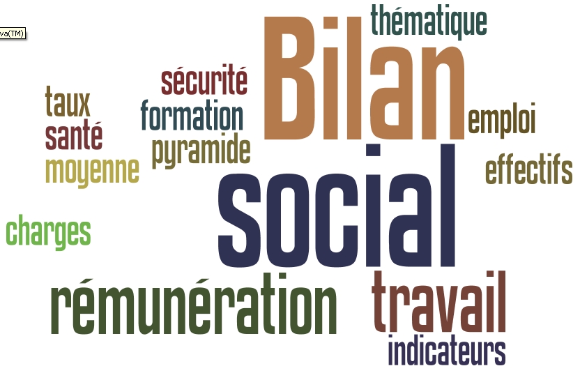 Syndicat CGT du Conseil régional Centre-Val de Loire: Bilan Social 2017