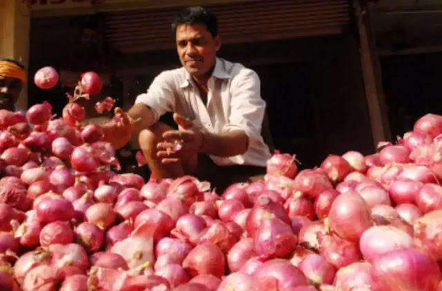 the gujarat bajar samachar of monsoon onion apmc price are hike agriculture in Gujarat due to rainy season the gujarat bajar samachar of monsoon onion apmc price are hike agriculture in Gujarat due to rainy season