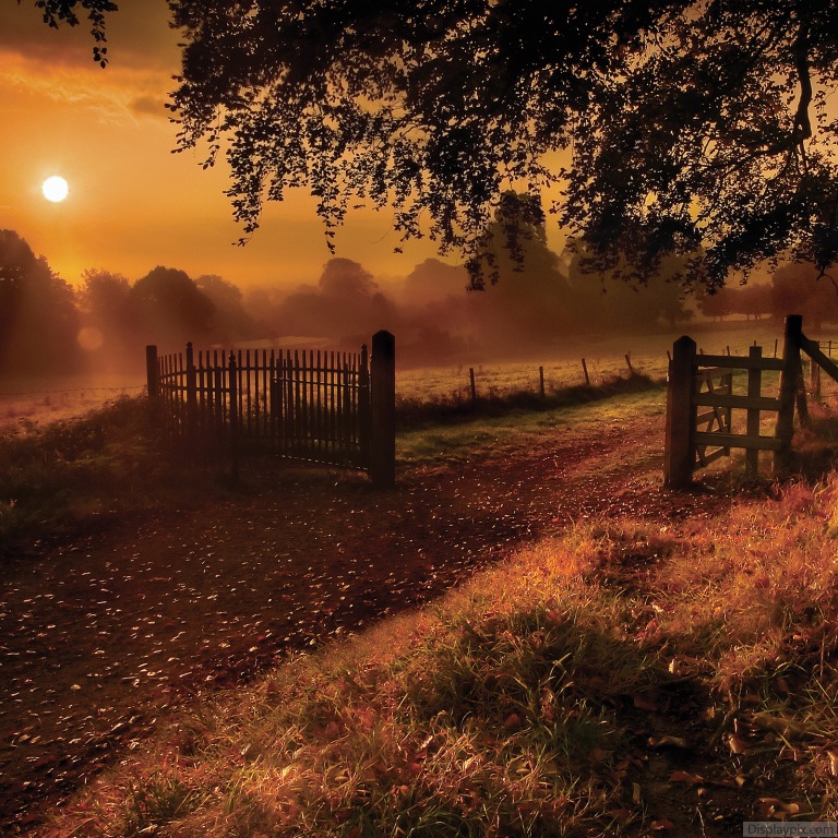 Beautiful Nature Profile Pictures Top Profile Pictures Display Pictures