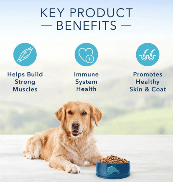 Blue Buffalo Natural Dry Dog Food