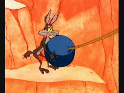Image result for wile e coyote gif