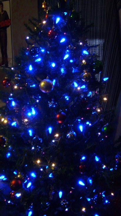in the middle of the concert i began to think back to my childhood and the very first tree i ever saw that was covered completely with blue lights - Christmas Tree With Blue Lights in the middle of the concert i began to think back to my childhood and the very first tree i ever saw that was covered completely with blue lights - Christmas Tree With Blue Lights