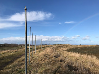 Poles around part of Ash Lagoon, Musselburgh.  Photo by Kevin Nosferatu for the Skulferatu Project
