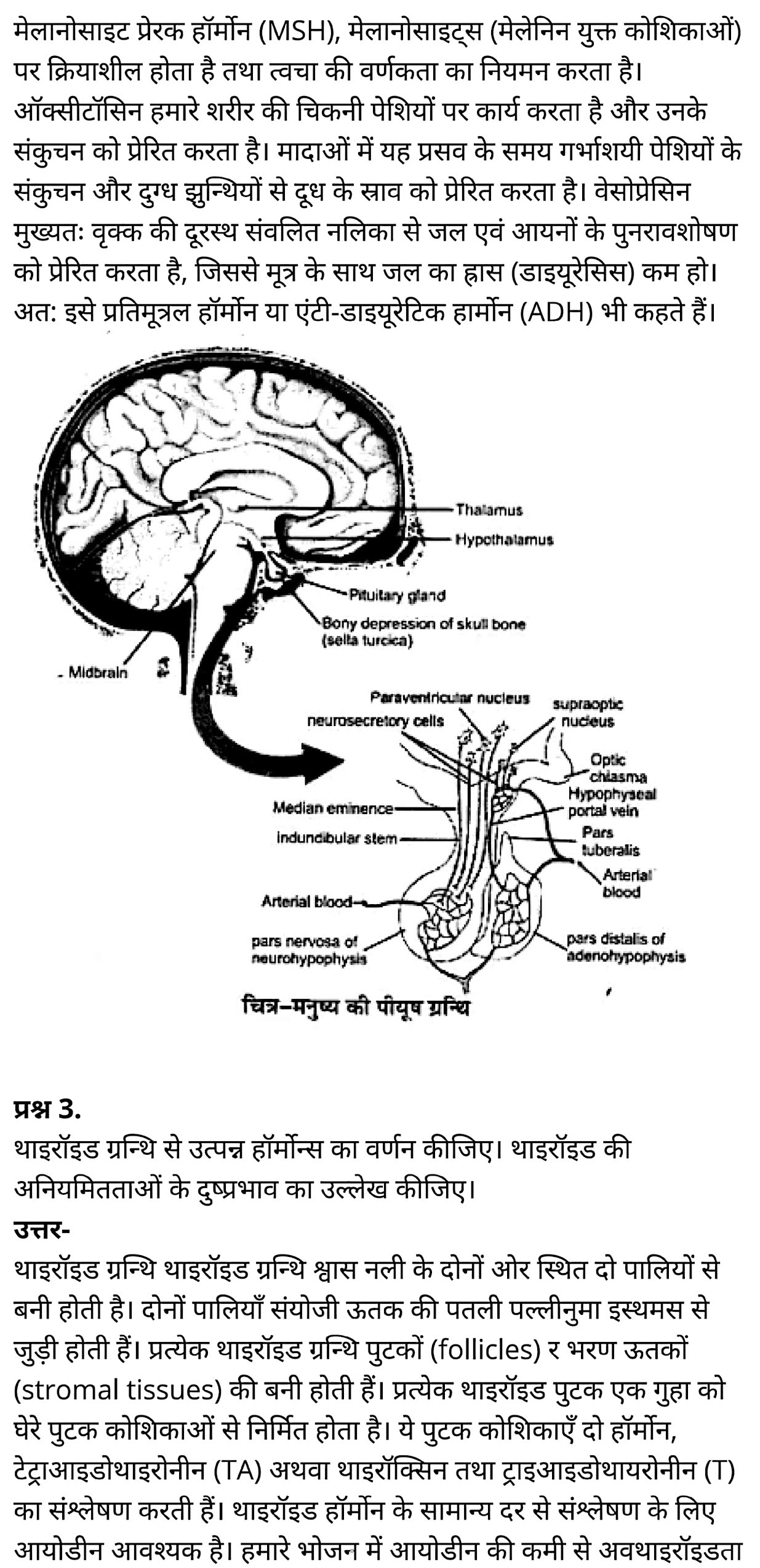 कक्षा 11 जीव विज्ञान अध्याय 22 के नोट्स हिंदी में एनसीईआरटी समाधान, class 11 Biology Chapter 22, class 11 Biology Chapter 22 ncert solutions in hindi, class 11 Biology Chapter 22 notes in hindi, class 11 Biology Chapter 22 question answer, class 11 Biology Chapter 22 notes, 11 class Biology Chapter 22 in hindi, class 11 Biology Chapter 22 in hindi, class 11 Biology Chapter 22 important questions in hindi, class 11 Biology notes in hindi, class 11 Biology Chapter 22 test, class 11 BiologyChapter 22 pdf, class 11 Biology Chapter 22 notes pdf, class 11 Biology Chapter 22 exercise solutions, class 11 Biology Chapter 22, class 11 Biology Chapter 22 notes study rankers, class 11 Biology Chapter 22 notes, class 11 Biology notes, Biology class 11 notes pdf, Biology class 11 notes 2021 ncert, Biology class 11 pdf, Biology book, Biology quiz class 11 , 11 th Biology book up board, up board 11 th Biology notes, कक्षा 11 जीव विज्ञान अध्याय 22, कक्षा 11 जीव विज्ञान का अध्याय 22 ncert solution in hindi, कक्षा 11 जीव विज्ञान के अध्याय 22 के नोट्स हिंदी में, कक्षा 11 का जीव विज्ञान अध्याय 22 का प्रश्न उत्तर, कक्षा 11 जीव विज्ञान अध्याय 22 के नोट्स, 11 कक्षा जीव विज्ञान अध्याय 22 हिंदी में,कक्षा 11 जीव विज्ञान अध्याय 22 हिंदी में, कक्षा 11 जीव विज्ञान अध्याय 22 महत्वपूर्ण प्रश्न हिंदी में,कक्षा 11 के जीव विज्ञानके नोट्स हिंदी में,जीव विज्ञान कक्षा 11 नोट्स pdf, कक्षा 11 जीव विज्ञान अध्याय 22 के नोट्स हिंदी में एनसीईआरटी समाधान, class 11 Biology Chapter 22, class 11 Biology Chapter 22 ncert solutions in hindi, class 11 Biology Chapter 22 notes in hindi, class 11 Biology Chapter 22 question answer, class 11 Biology Chapter 22 notes, 11 class Biology Chapter 22 in hindi, class 11 Biology Chapter 22 in hindi, class 11 Biology Chapter 22 important questions in hindi, class 11 Biology notes in hindi, class 11 Biology Chapter 22 test, class 11 BiologyChapter 22 pdf, class 11 Biology Chapter 22 notes pdf, class 11 Biology Chapter 22 exercise solutions, class 11 Biology Chapter 22, class 11 Biology Chapter 22 notes study rankers, class 11 Biology Chapter 22 notes, class 11 Biology notes, Biology class 11 notes pdf, Biology class 11 notes 2021 ncert, Biology class 11 pdf, Biology book, Biology quiz class 11 , 11 th Biology book up board, up board 11 th Biology notes, कक्षा 11 जीव विज्ञान अध्याय 22, कक्षा 11 जीव विज्ञान का अध्याय 22 ncert solution in hindi, कक्षा 11 जीव विज्ञान के अध्याय 22 के नोट्स हिंदी में, कक्षा 11 का जीव विज्ञान अध्याय 22 का प्रश्न उत्तर, कक्षा 11 जीव विज्ञान अध्याय 22 के नोट्स, 11 कक्षा जीव विज्ञान अध्याय 22 हिंदी में,कक्षा 11 जीव विज्ञान अध्याय 22 हिंदी में, कक्षा 11 जीव विज्ञान अध्याय 22 महत्वपूर्ण प्रश्न हिंदी में,कक्षा 11 के जीव विज्ञानके नोट्स हिंदी में,जीव विज्ञान कक्षा 11 नोट्स pdf,