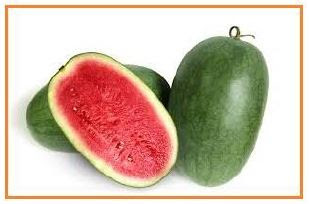 Buah semangka tanpa biji setelah penyerbukan dapat diperoleh dengan memberikan hormon....