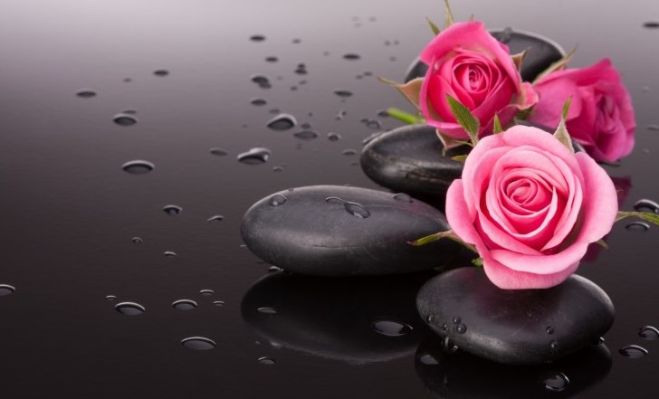 Rose Photo in HD - Love Quotes Wallpapers