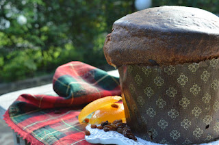 Thermomix Panettone – Bec's Table