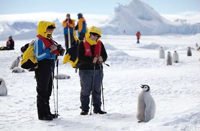 프듀X] 친화력이 황제펭귄 급인 연습생 | 인스티즈