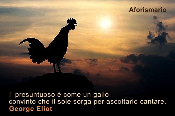 Aforismario Aforismi Frasi E Proverbi Sul Gallo