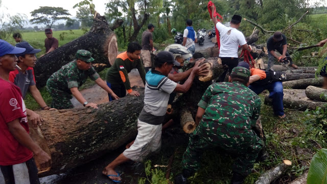 Koramil 12 Manisrenggo dan Relawan Evakuasi Pohon Tumbang