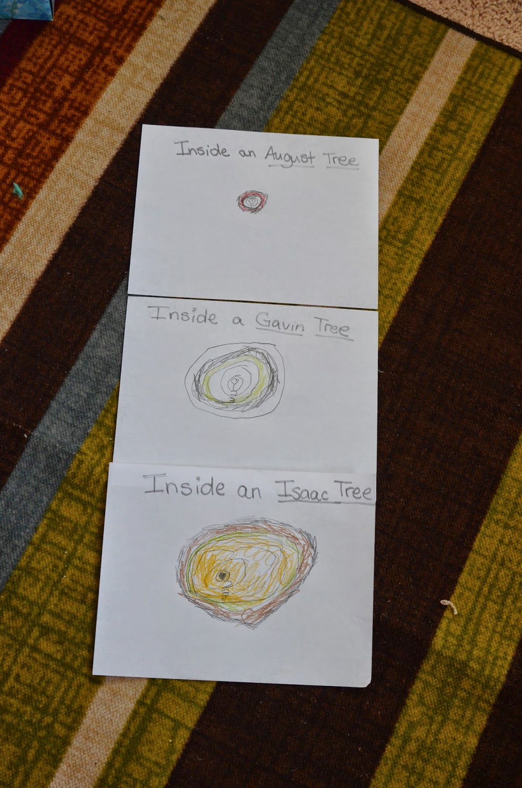 Leading Them To The Rock : Tree Study. Tree Rings K-1 Lesson