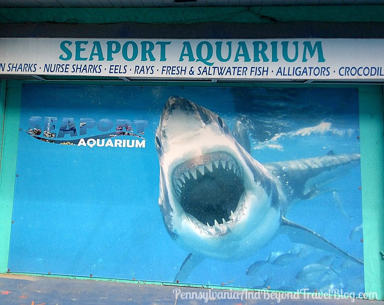 Pennsylvania & Beyond Travel Blog The Seaport Aquarium on the Wildwood Boardwalk