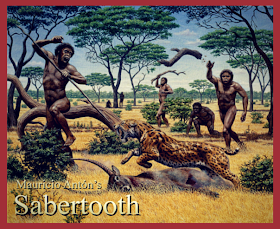 Homo erectus ช่วยกันไล่เสือเขี้ยวดาบเพื่อแย่งซากแอนติโลป