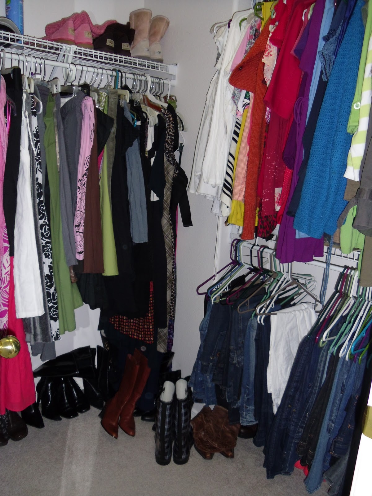 99 Days in the life of Shoezilla