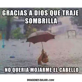 Chistosas de Lluvia