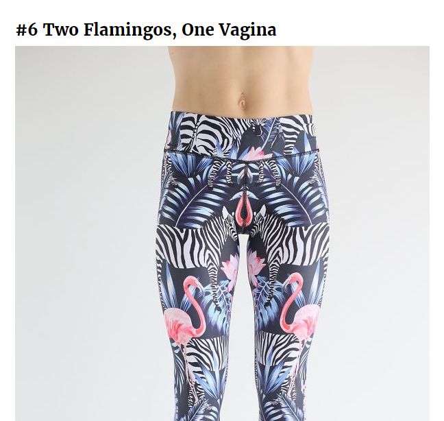 stripesnotdots!: zebras...