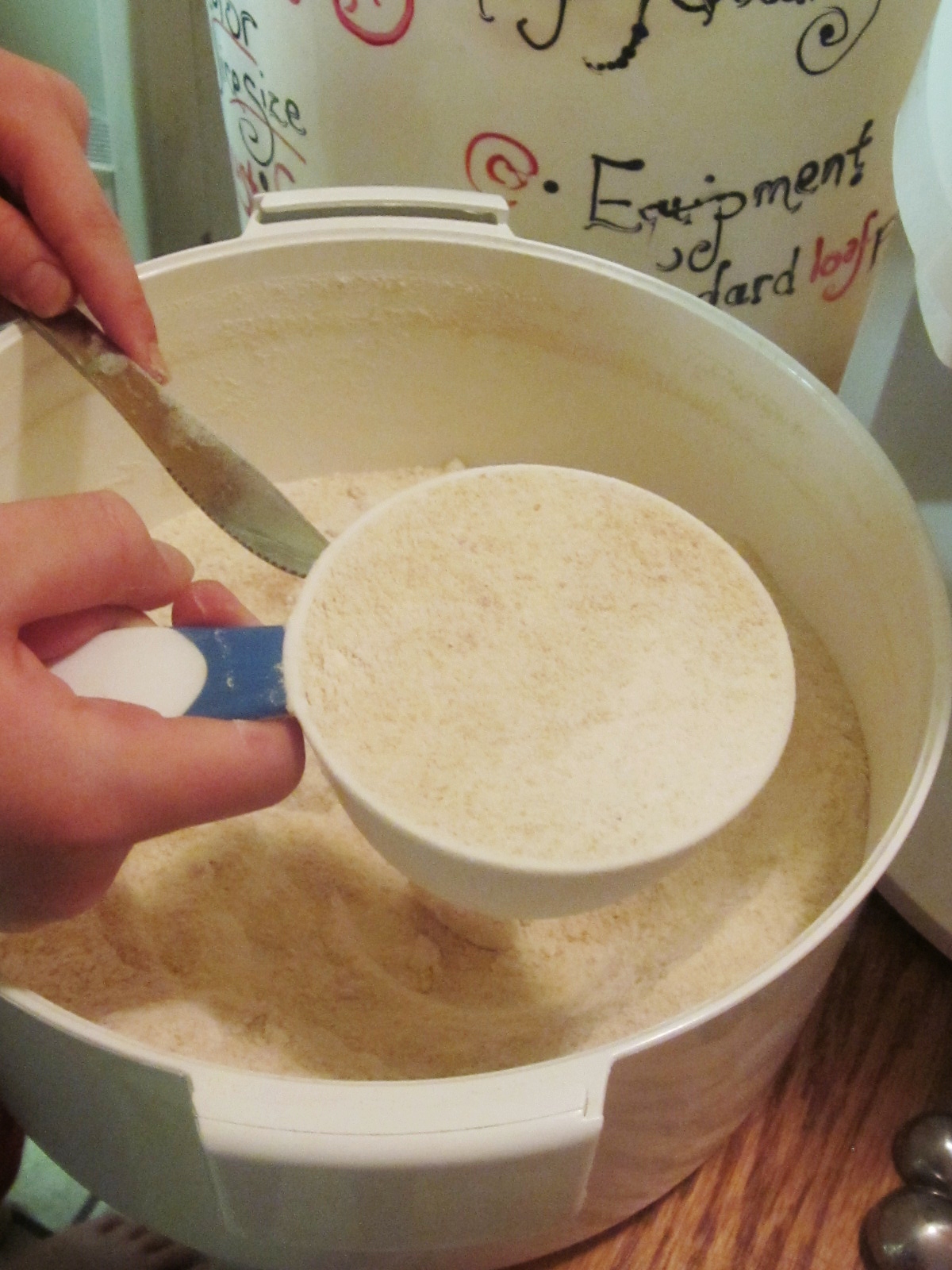 Chef Tess Bakeresse Making wholegrain flour at home in 3 Easy steps