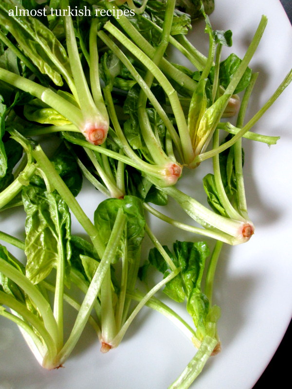 Almost Turkish Recipes Spinach Stem Salad (Ispanak Kökü Salatası)