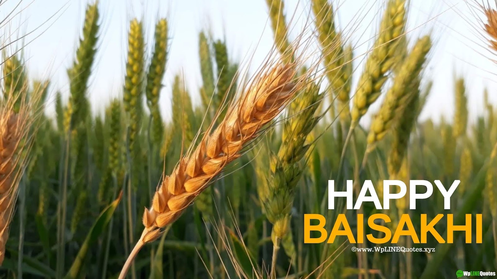 Baisakhi Wishes, Messages & Greetings Baisakhi Wishes, Messages & Greetings