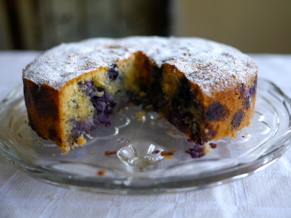 Victoria's Cake Boutique: Blueberry and Coconut Cake (Gluten and Dairy ...