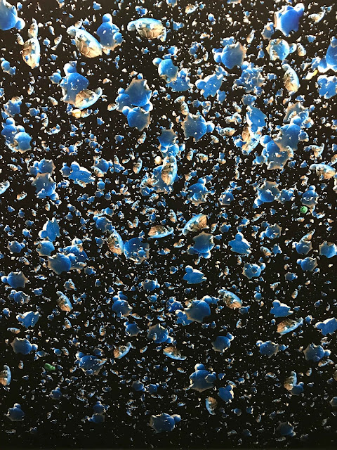 Hundreds of broken blue plastic turtles in front of a black canvas.