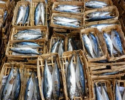 Ikan Pindang Sangat Populer - Blog Anak Nelayan