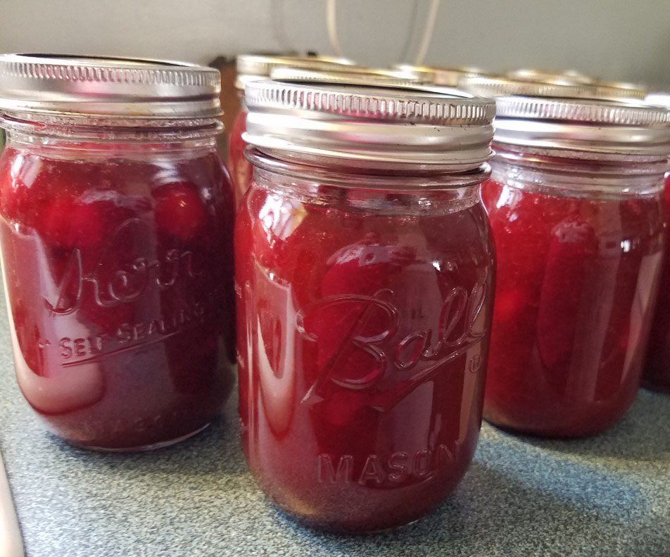 Rebekah's EaTs & TrEaTs Rhubarb Cherry Freezer Jam
