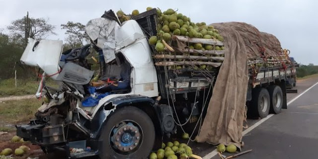 Acidente entre carreta e caminhão deixa três adultos e uma criança mortos na Bahia