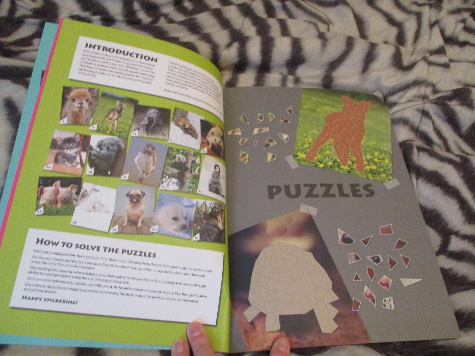 Missy's Product Reviews Sticker Extremely Cute Animals