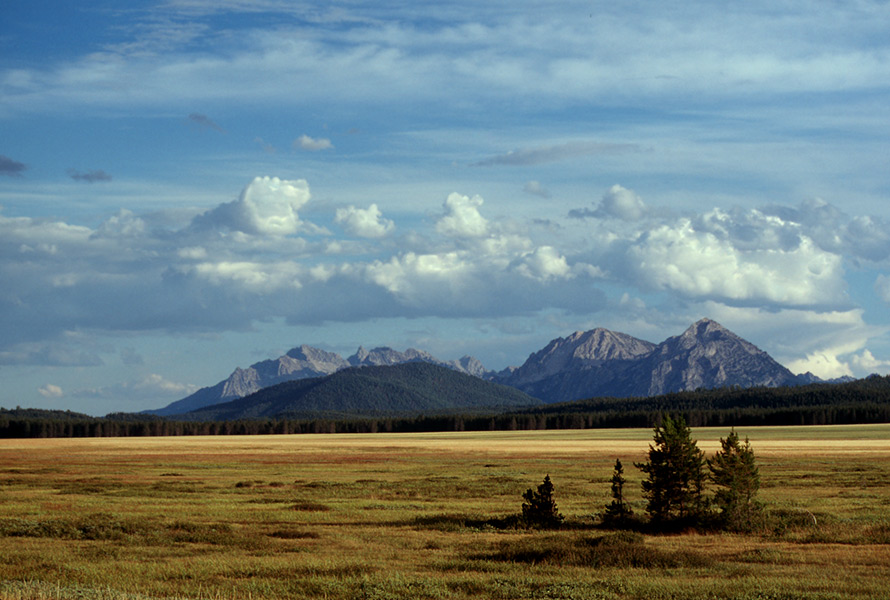 Round 1 Sawtooth Elk Zone vs. Teton Elk Zone IDAHOMAN