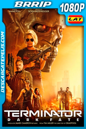 DescargatePelis.com
