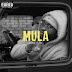 AUDIO | Asvnte Ft JXY -Mula (Mp3) Download