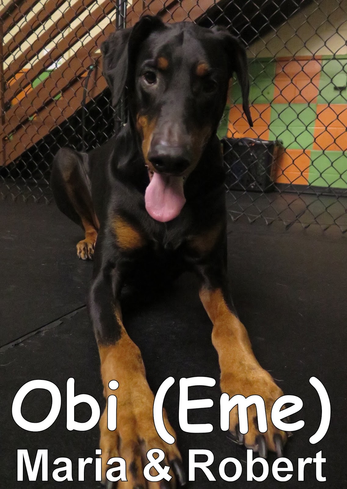 Here S When The Obi Wan Kenobi Tv Series Takes Place Punch Drunk