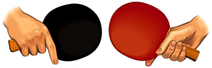 Cara Memegang Bet Teknik Shakehand Grip Dalam Tenis Meja Penjasorkes