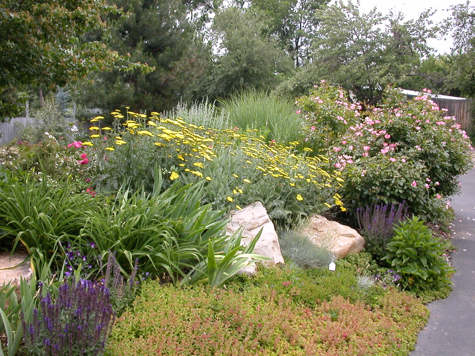 Xeriscape Design Templates Utah Xeriscape Design Templates Utah