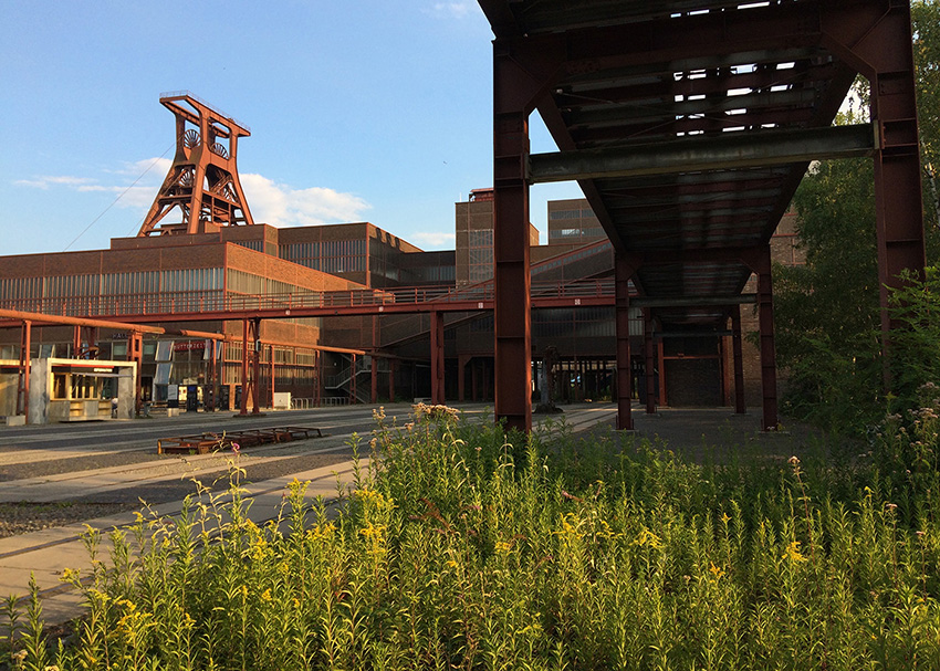 Ninfly Jump Play Munster