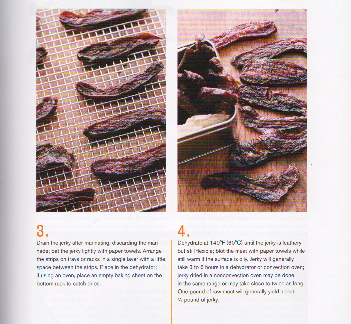 Dehydrating Made Simple Recipe Blog Jerky