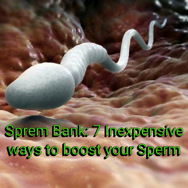 Sperm 7