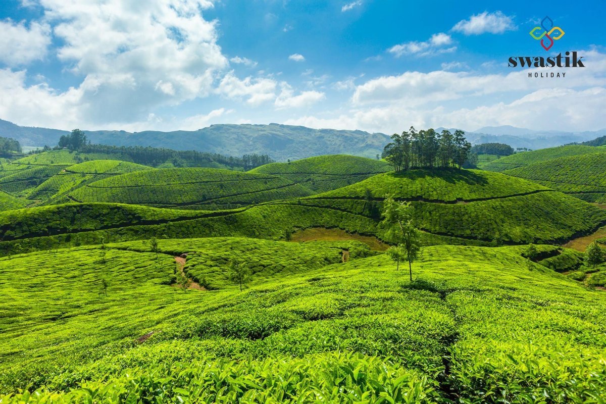Munnar, Thekkady & Alleppey Tour Package