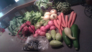 1st summer CSA box