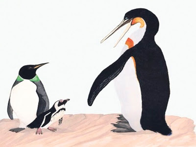 gambar penguin
