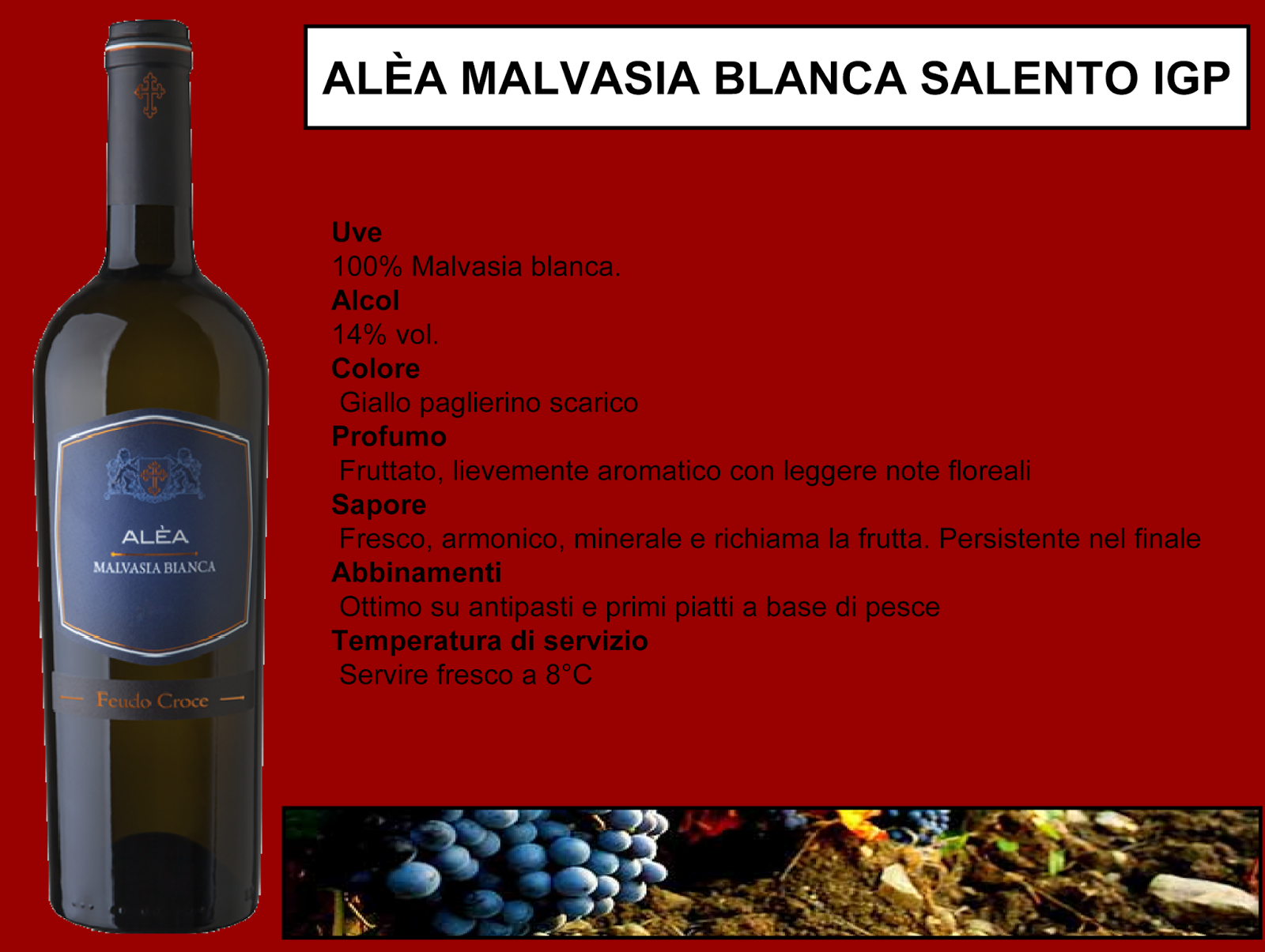 VinsBarcelona Mayo 2017 how-to-pronounce-malvasia-american-english-youtube