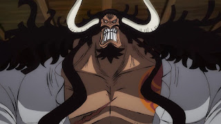 ワンピースアニメ 993話 ワノ国編 | ONE PIECE 四皇 百獣のカイドウ KAIDO