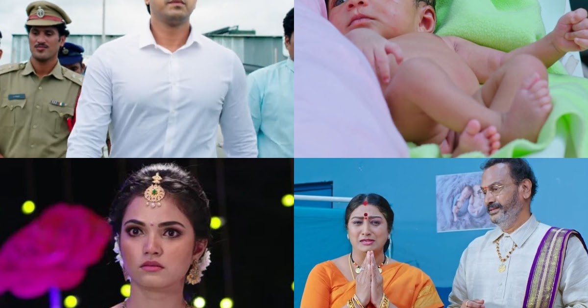 Star maa schedule New Plot, New STORY Star Maa Telugu TV Show - Devatha Latest update