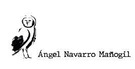 Ángel Navarro Mañogil: reflexiones desde la estética