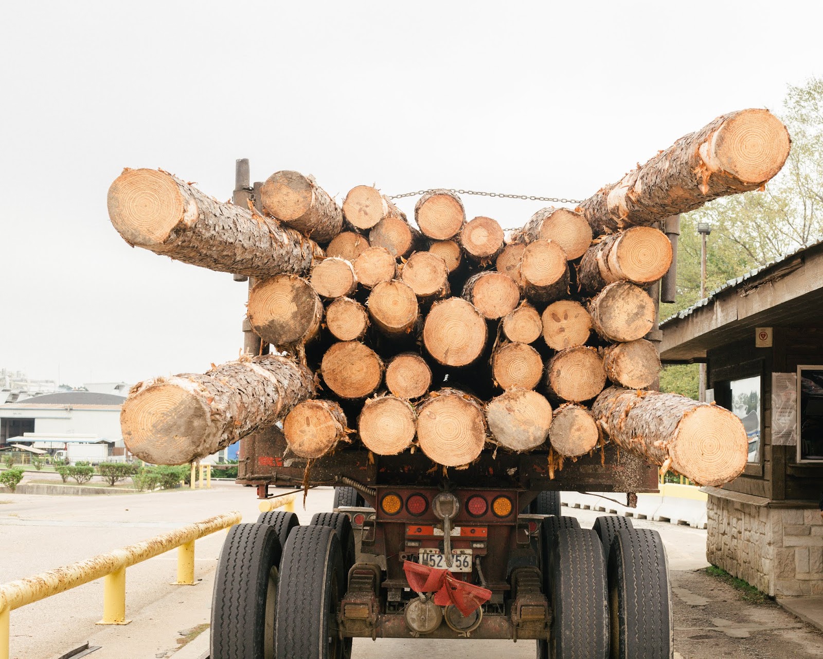 How It's Made Plywood at the Plant in Texas — New Mom