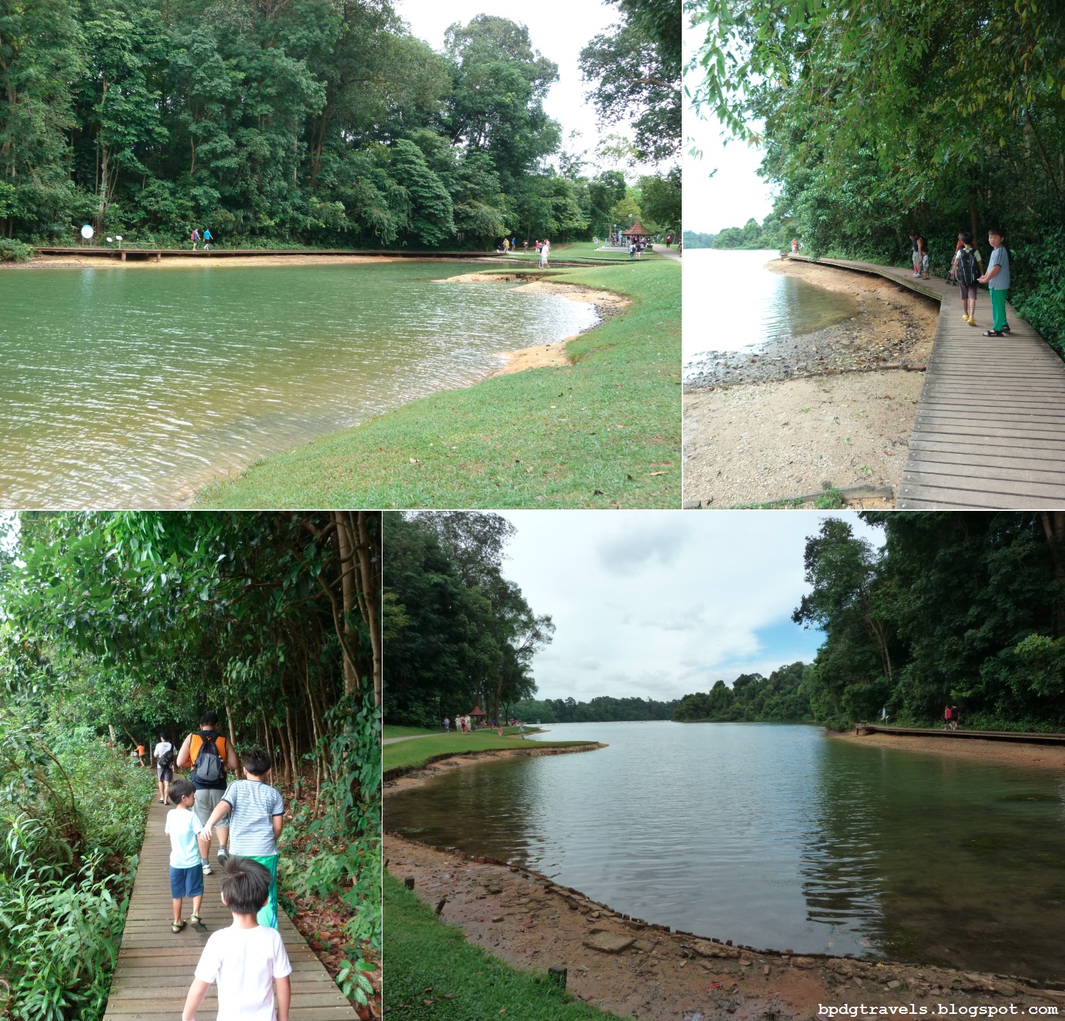  Revisiting MacRitchie Reservoir Part 2 BPDGTravels Building
