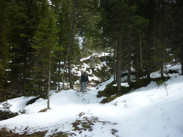 sentiero dei canyons cortina